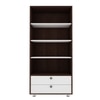 Lasker Bookcase Wenge And Frosty White
