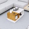 Hexa Engineered Wood Coffee Table With Storage And Open Rack In Frosty White And Giant Wood