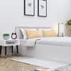 Hexa Engineered Wood Modern Queen Bed With Headboard With Storage In Frosty White