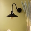 Hinkey Wall Sconce