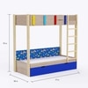 Pine Tree Single Size Bunk Bed In Oak and Blue Colour