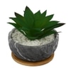 Artificial Aloe Vera Plant In A Patterned Ceramic Pot With A Wooden Plate