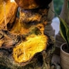 Brown Natural Driftwood And Earthen Pot Water Fountain