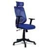 Zeeazyana High Back Ergonomic Chair in Blue Colour