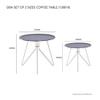 Scandinavian Oba Set of Two Coffee Tables Matte Finish