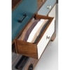 Rigen Multi Color Chest of Drawer