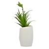 Artificial Green Oasis Plant With White Face Planter