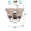 Devansh Steel Electric Wall Light in Steel Colour with Transparent Shade Count of 2 Lights