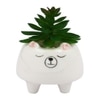 Cozy Bear Ceramic Planter
