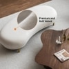 Wooden Twist Borzy Modern Curved Bench with Golden Metal Legs and Soft in White Colour
