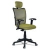 Jeaorda High Back Ergonomic Chair in Pearl Green Colour