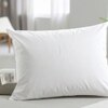 Plush Collection Medium - Firm Pillow 50 X 70cm