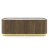 Dorian Engineered Wood Coffee Table With Ceramic Top in Walnut High Gloss Finish