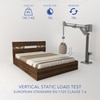 Salmacis Engineered Wood Queen  Size Bed Without Storage (Walnut Finish)