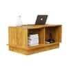 Hexa Engineered Wood Coffee Table With Storage And Open Rack In Giant Wood