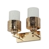 Eliante Modern Wall Lights Mild Steel & Glass Material Gold & White Finish