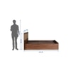 Yuko Engineered Wood Upholstered King Size Bed In Columbia Walnut Finish With Hydraulic Storage