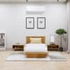 Hexa Engineered Wood Modern Single Bed With Headboard Without Storage In Giant Wood