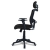 Dreaceo High Back Ergonomic Chair in Black Colour
