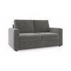 Apollo 2 Fabric Seater Sofa in Ash Grey Velvet Colour