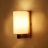 Eliante Modern Wall Lights Mild Steel & Glass Material Antique Gold & White Finish