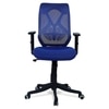 Zeeazyana Mid Back Ergonomic Chair in Blue Colour