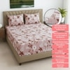 Multicolor Floral 270 TC Glaze Cotton Fitted Queen Size Bedsheet With 2 Pilllow Covers