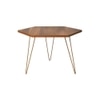 Teak Hues Coffee Table