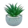 Attractive Aloe Vera Plant With Green Pebble Patterned Design Ceramic Pot