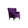 Brogen Fabric Accent Chair in Purple Colour