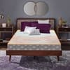 Health Spa Active Orthopedic High Resilience Foam Mattress (78 x 35 in, 10 Inches)