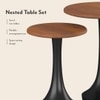 Calla Solid Wood Side Tables Set of 2 in Dual Tone Amber Walnut and Black Finish