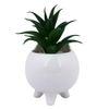 White 1 Pieces Succulent Artificial Plant With Pot