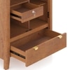 Toledo Solid Wood 2 Door Wardrobe In Amber Walnut Finish