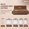 Sleepwell Ortho Pro Spring, Euro Top Finish, 3-zone pocket 8 inch Single Pocket Spring Mattress (L x W: 72 inch x 30 inch)