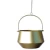 Hanging Wine Planter Set Of 2 In Gold Colour