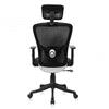 Galen Study Chair in Black Colour