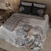Stoa Paris Super King Size Enriched Cotton Bedsheet with 4 Pillow Covers  Size Mist Walker