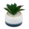 Pristine And Awe-Struck Indoor Succulent Plant With White Ceramic Pot