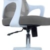 Xeanea Mid Back Ergonomic Chair in Grey Colour