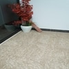 Sand Dune Carpet Size 7.5x5.1 ft.