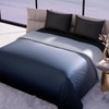 Stoa Paris Comforter for King Size Bed, 300 TC Ultra Satin Fabric  Taupe Sapphire