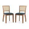 Reed Solid Wood Dining Chair Set Of 2 In Finish Amber Walnut And Colour Night Blue Velvet