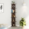 BLUEWUD Cadlic Engineered Wood Wall Decor Multi-Tier Corner Shelf Display Rack Decorative Hall D�cor for Living Room Home Furniture 6 Shelves (Wenge)