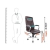 Shark High Back Executive Office In Brown Colour