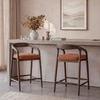 Zen Solid Wood Bar Stool (Danish Walnut Finish, Rust Boucle Colour)