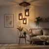Gyro Brown Solid Wood Cluster Hanging Light