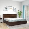 Aglaea Engineered Wood Queen  Size Bed With Box Storage (Walnut Finish)