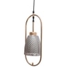 Eliante Hanging Light Smoky Black Mild Steel With Glass Shade, 1-Light Pendant Lamp