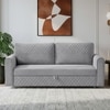 Baruna 3 Seater Velvet Pull Out Sofa Cum Bed with Storage In Grey Color
